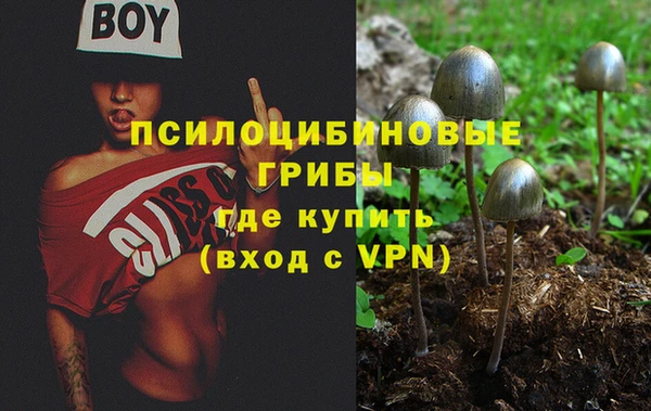 МДМА Алексин